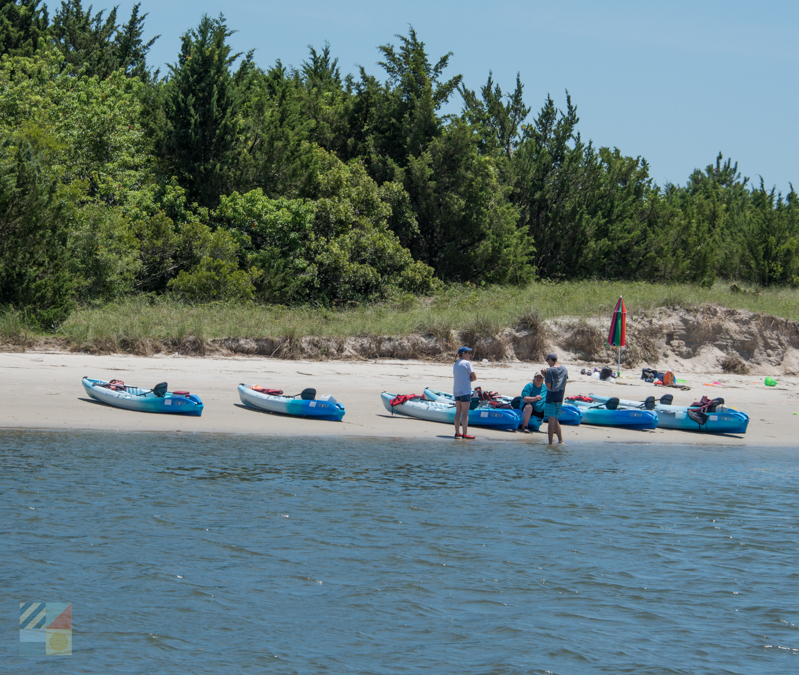 A kayak tour on Rachel Carson Reserve