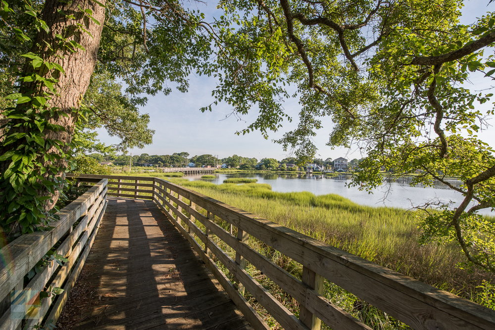 Calico Creek Boardwalk near Beaufort NC