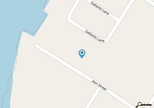 Historic dog-friendly home with Central AC, Gas Grill and Cozy Patio map location