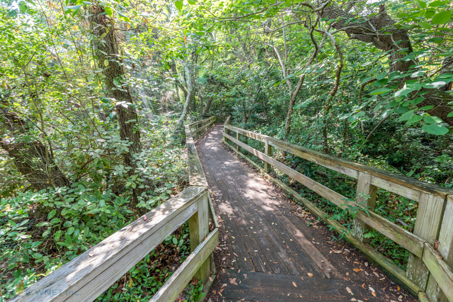 Hoop Pole Preserve trail