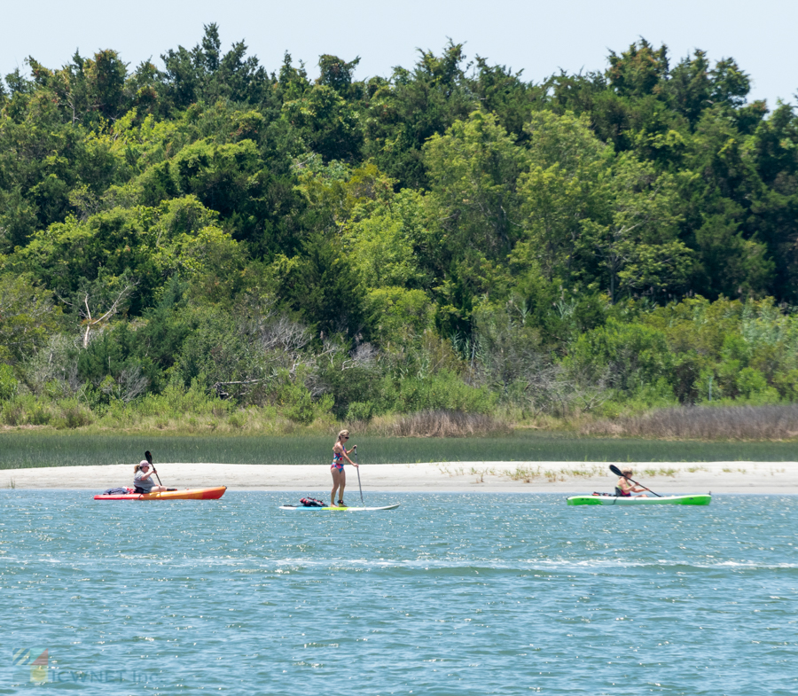 kayaking off the shores of Rachel Carson Reserve