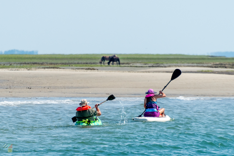 Kayaking off the Shackleford Banks