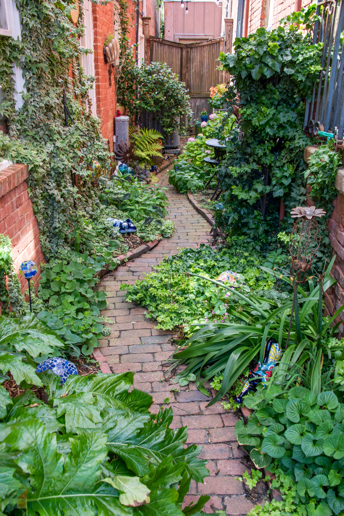 A beautiful alleyway garden in downtown Beaufort NC