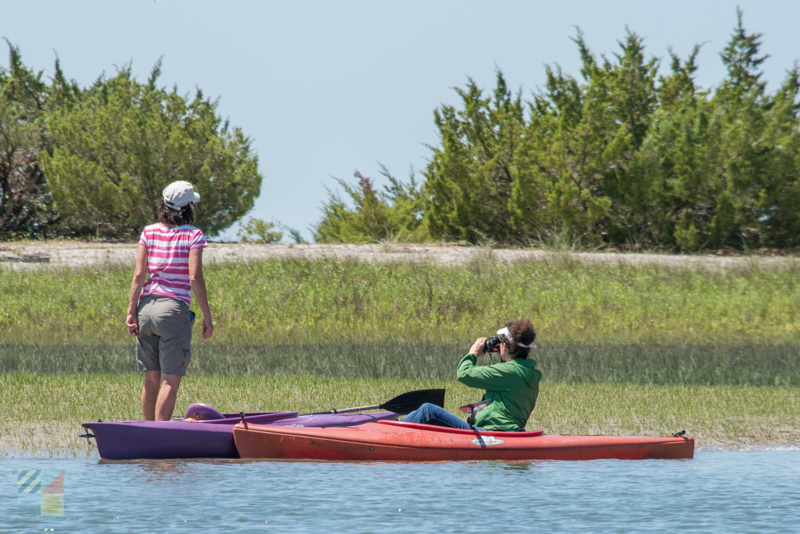 Rachel Carson Reserve