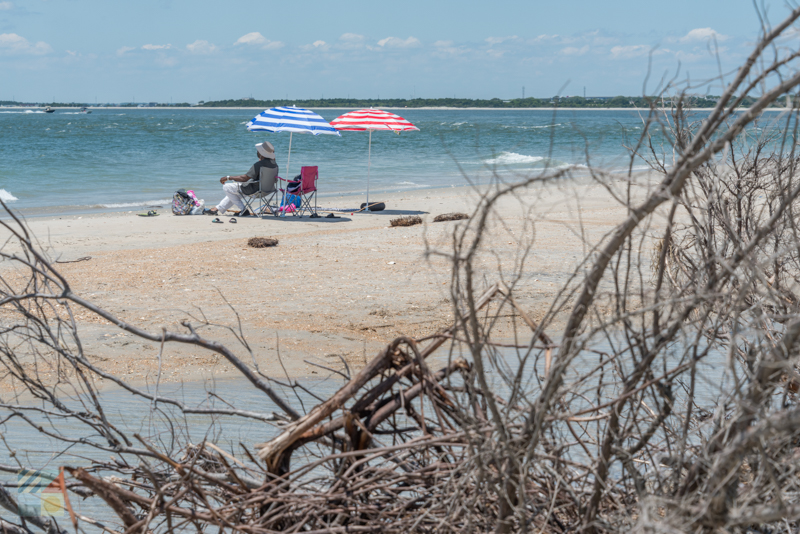 Shackleford Banks beach time