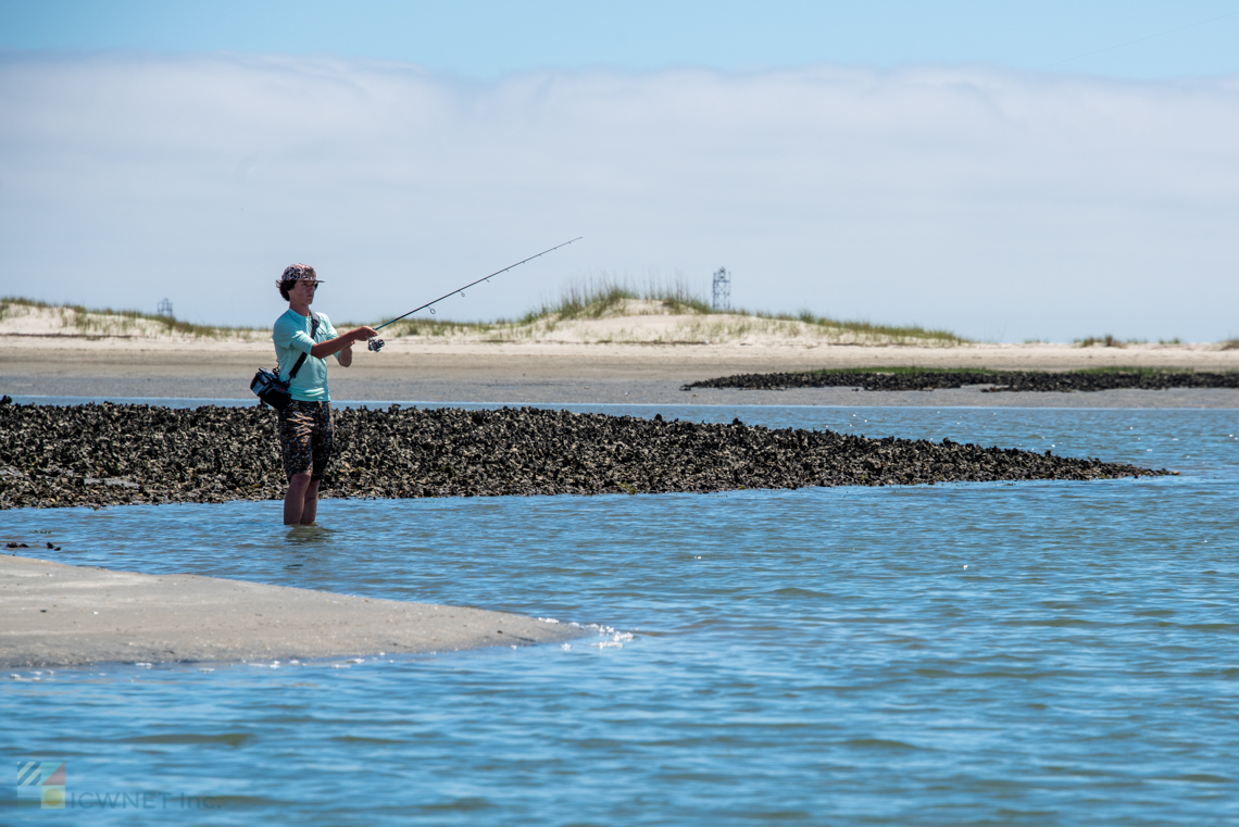 Rachel Carson Reserve