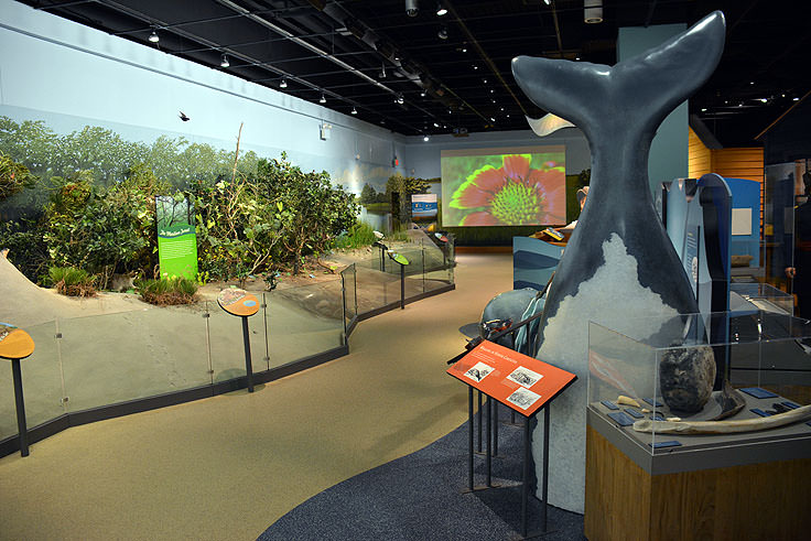 Exhibits at Fort Macon State Park