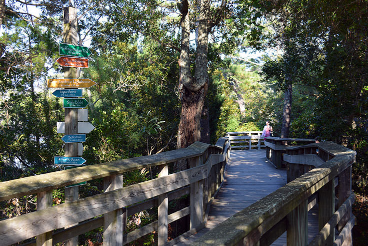 Outdoor nature walk at N.C. Aquarium at Pine Knoll Shores