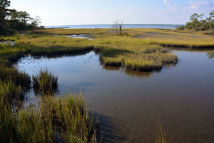 Marsh view from the N.C. Aquarium at Pine Knoll Shores