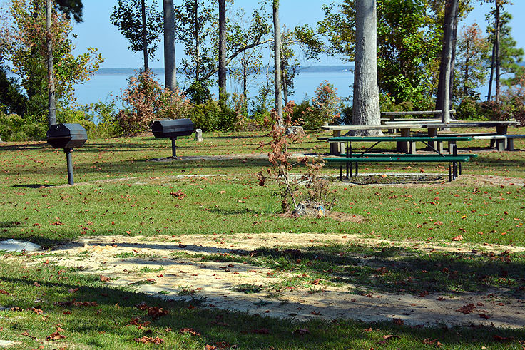 Picnic area next to the Neuse River