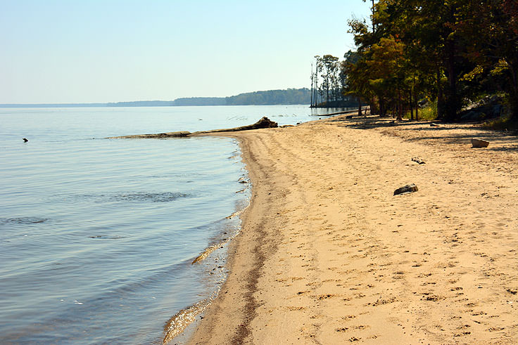 The beach along Neuse River