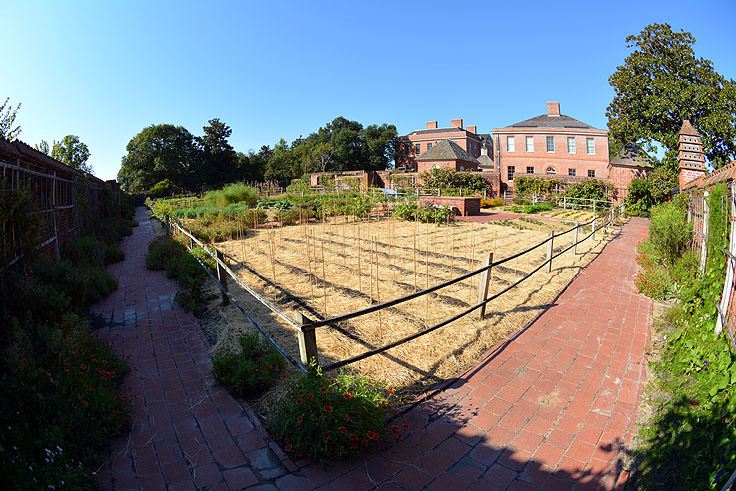 The garden at Tryon Palace in New Bern, NC