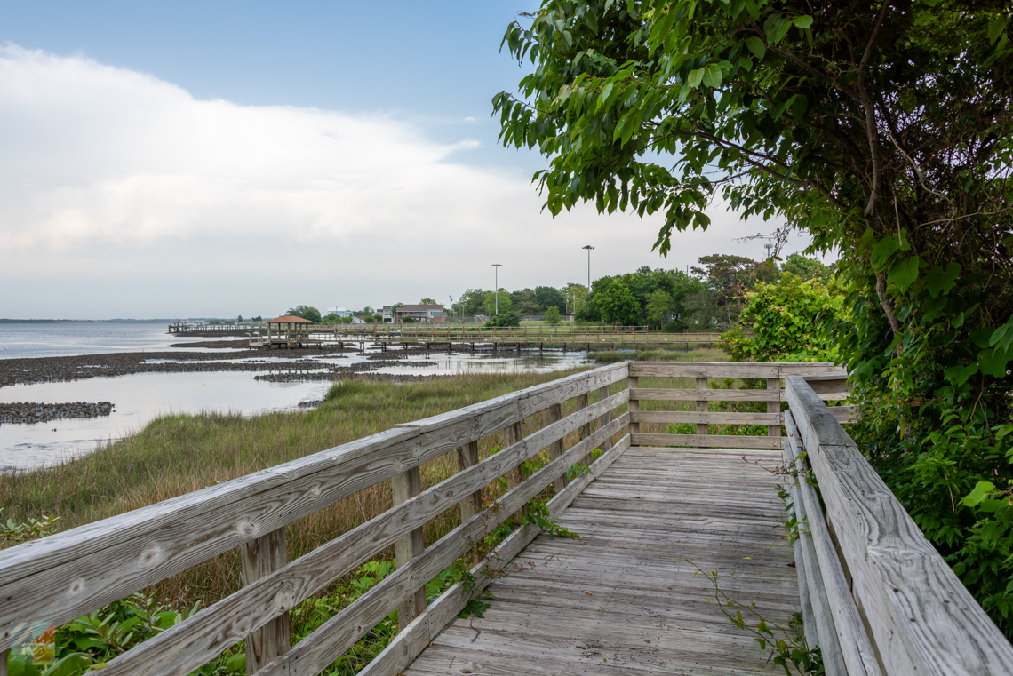 Calico Creek Boardwalk