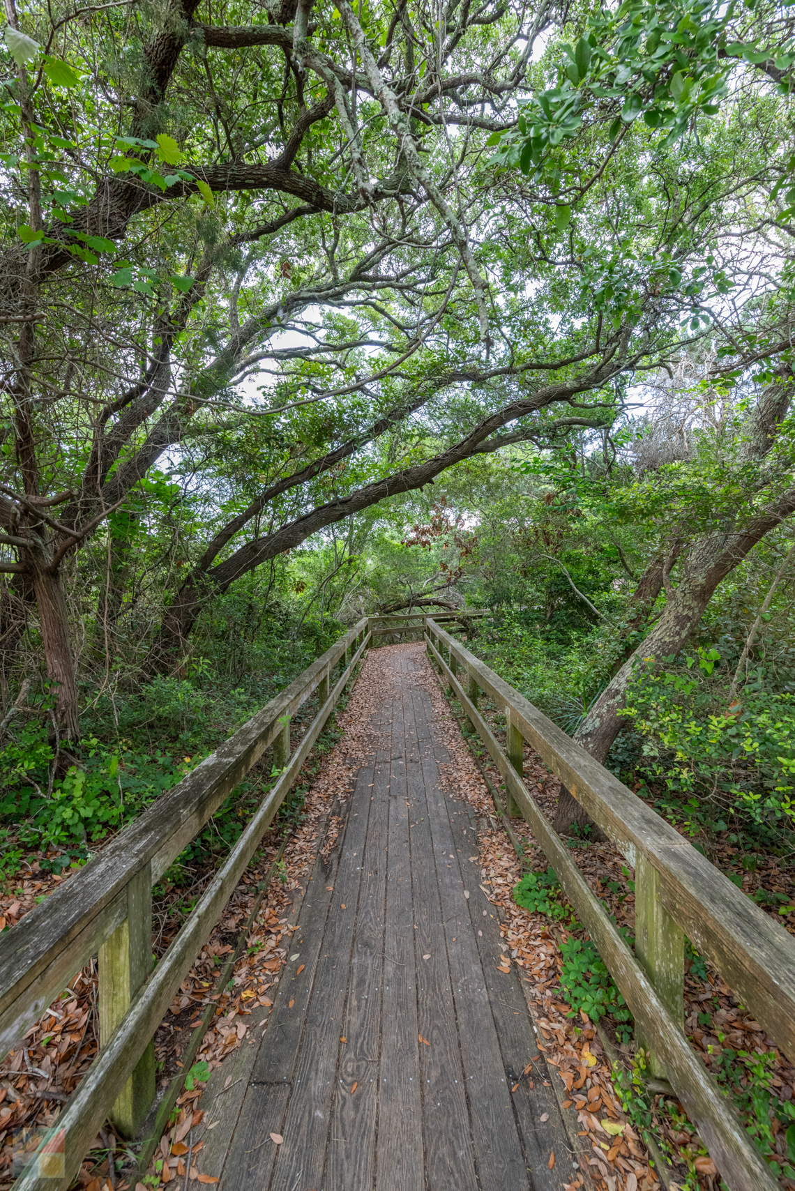 Hoop Pole Creek Preserve