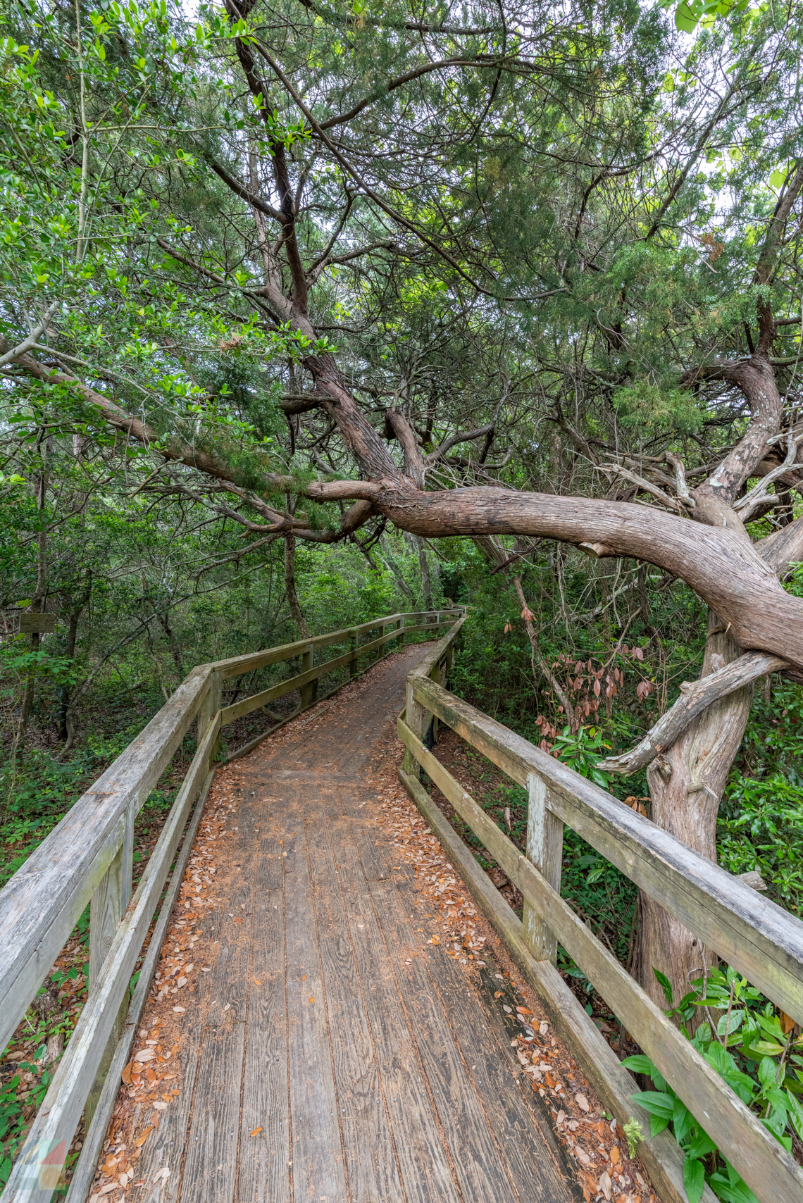 Hoop Pole Creek