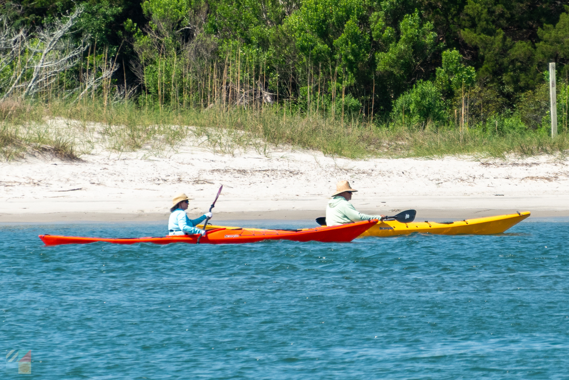 Kayakers adjacent to Rachel Casron Reserve