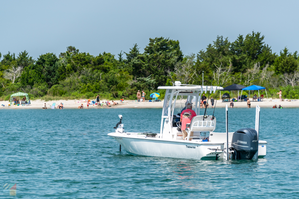 A boat in Taylors Creek