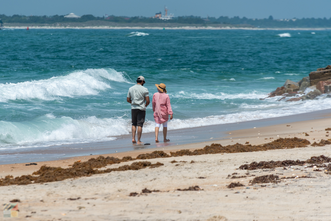 Shackleford Banks stroll