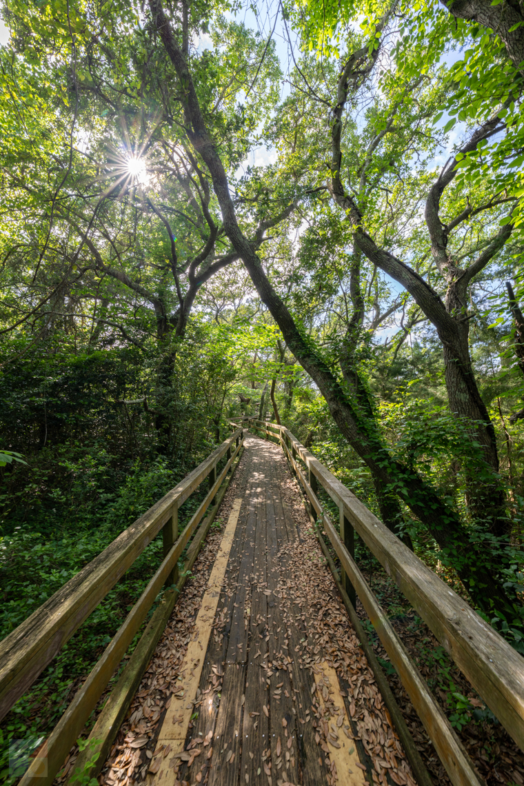 Hoop Pole Creek Trail