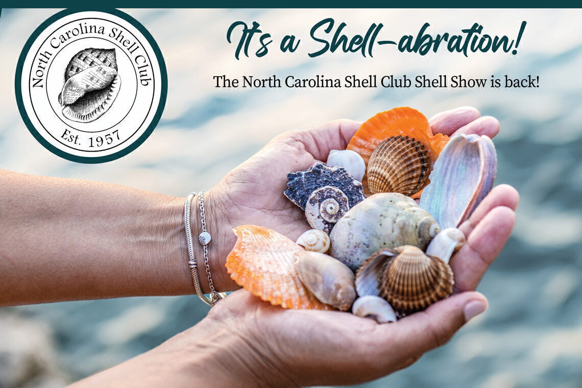 North Carolina Shell Club Shell Show