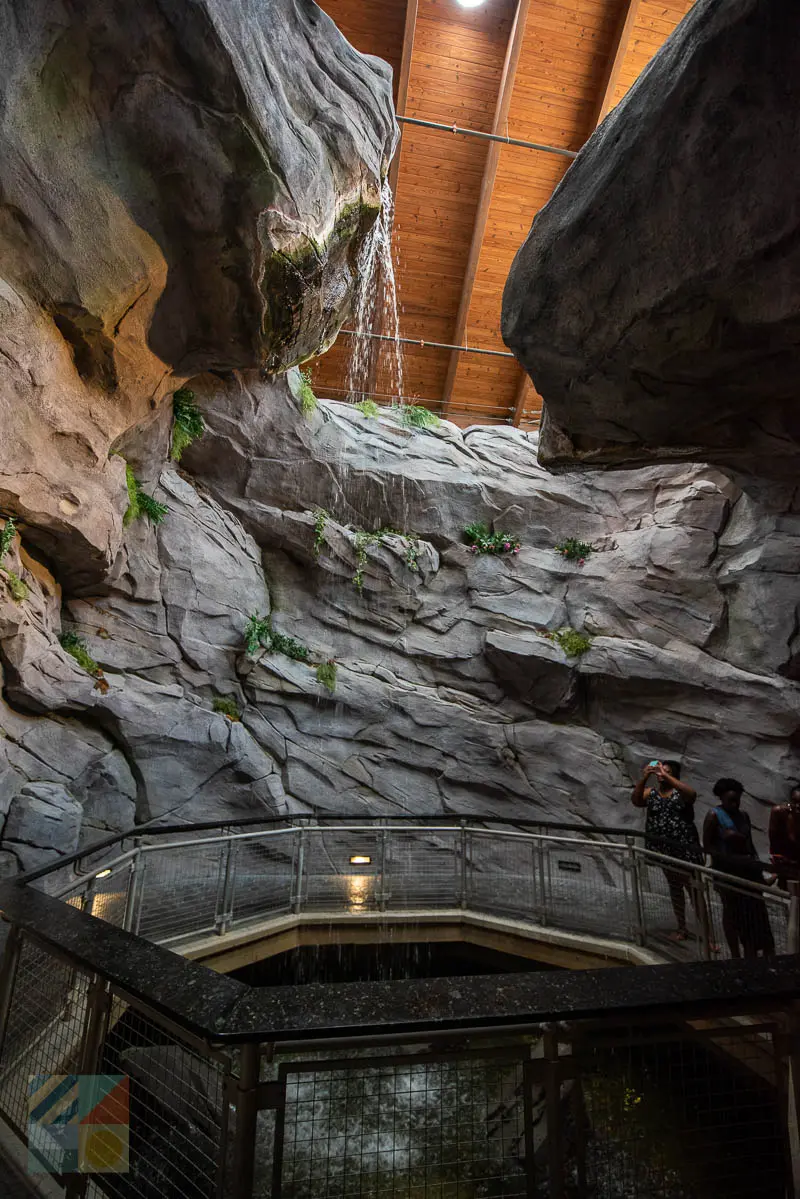 NC Aquarium at Pine Knoll Shores