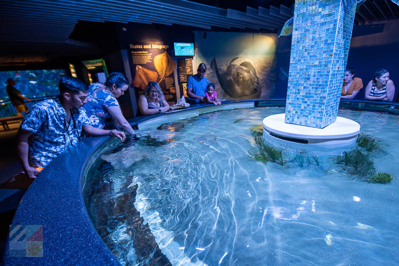 North Carolina Aquarium at Pine Knoll Shores