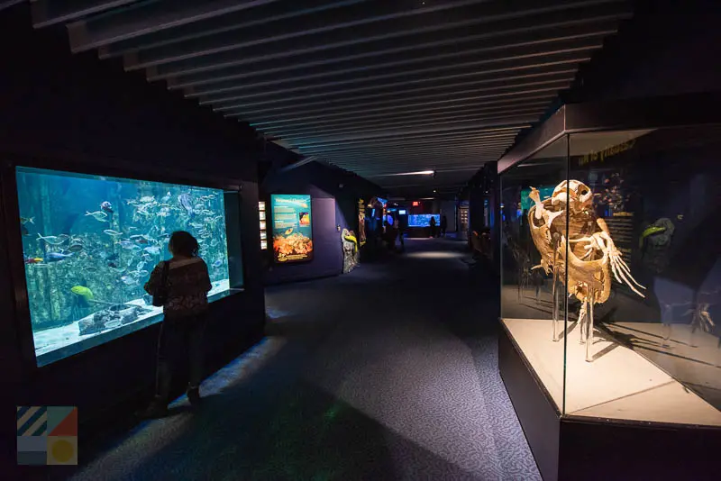 NC Aquarium at Pine Knoll Shores