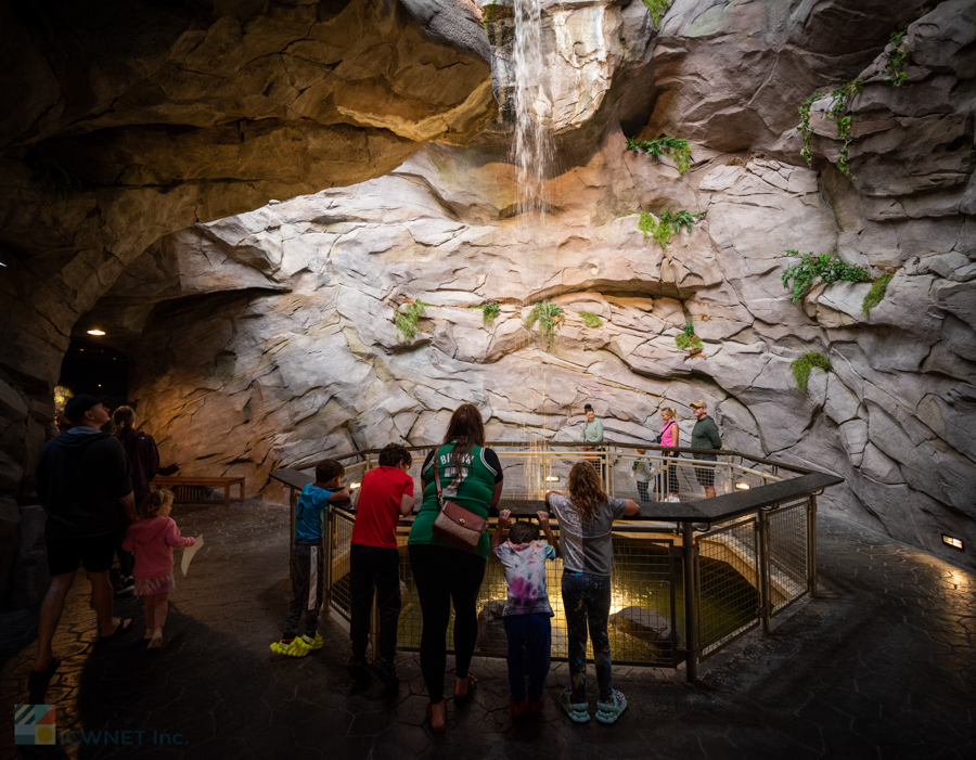 NC Aquarium at Pine Knoll Shores