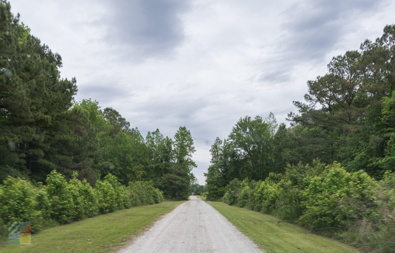 Latham Whitehurst Nature Park