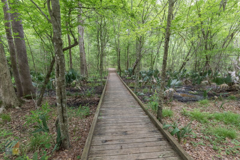 Latham Whitehurst Nature Park