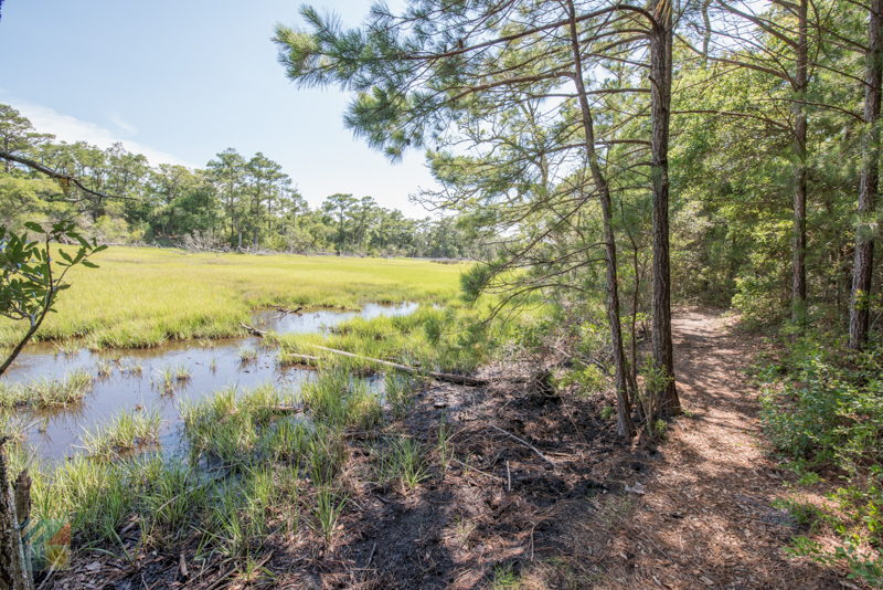 Theodore Roosevelt Natural Area