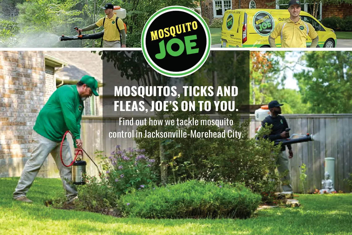 Mosquito Control Systems In Beaufort Sc Greenbug