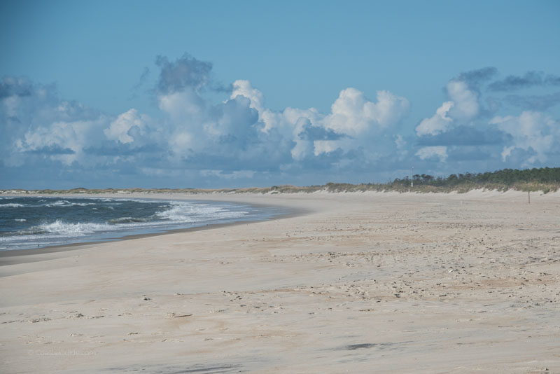 The beach adjacent to Cape Lookout Lighthouse
