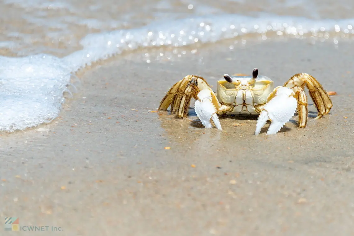 Contact Us - Beaufort-NC.com
