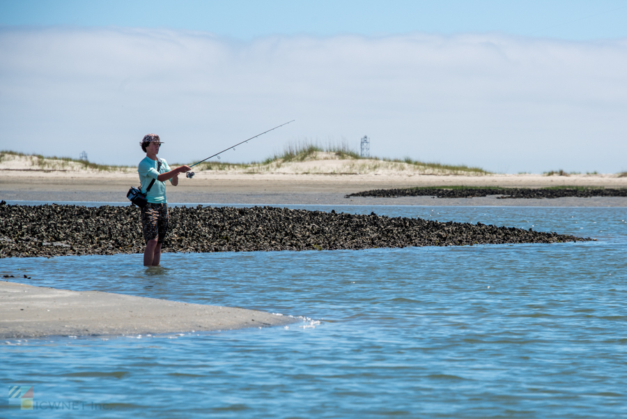 Rachel Carson Reserve fisherman
