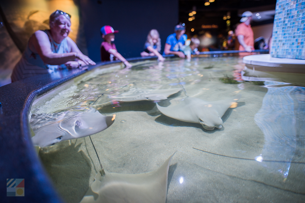 NC Aquarium at Pine Knoll Shores