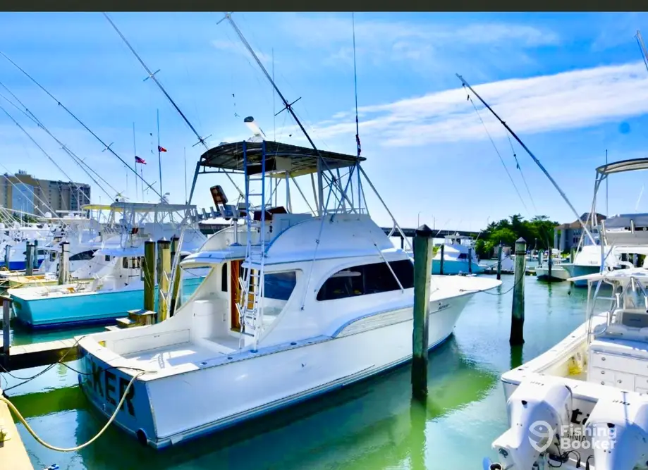 Breakwater Charters charter image 2