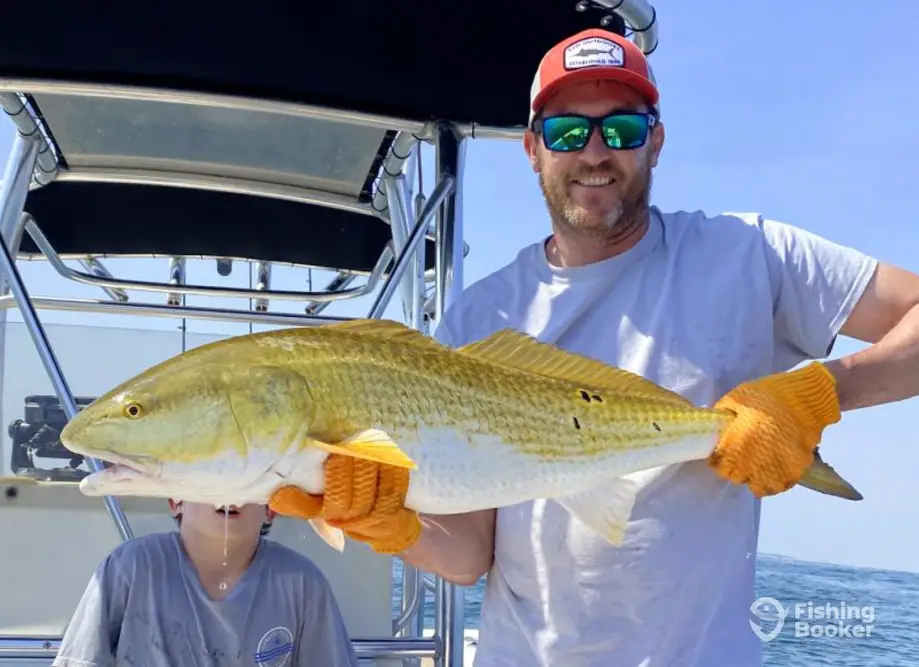 Back Sound Fishing Charters