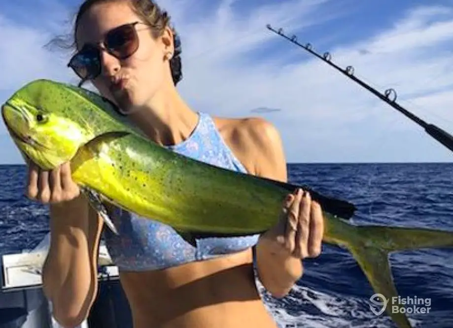 Offshore Outlaw Fishing Charters charter image 6