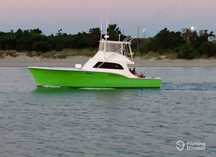 Wasabi Sportfishing