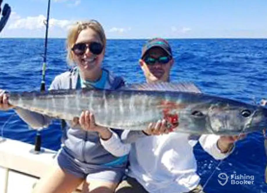 Fintasia Charters
