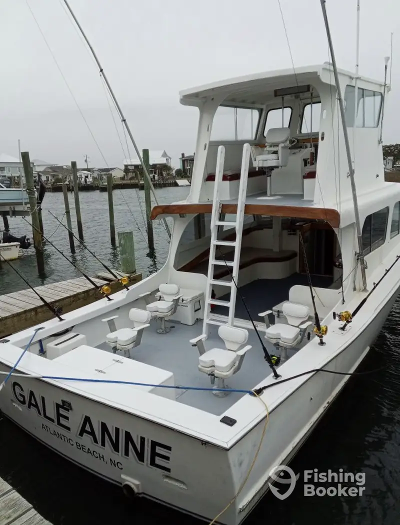 GALE ANNE