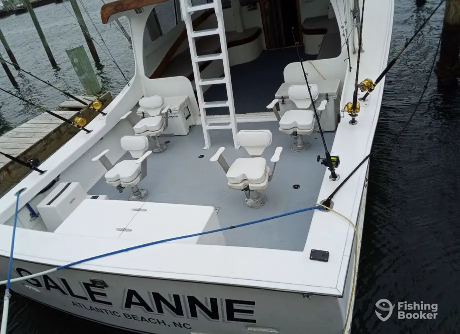 GALE ANNE charter image 2