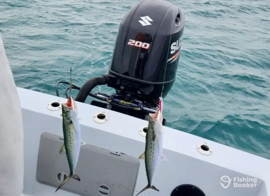 Tail Chaser Charters