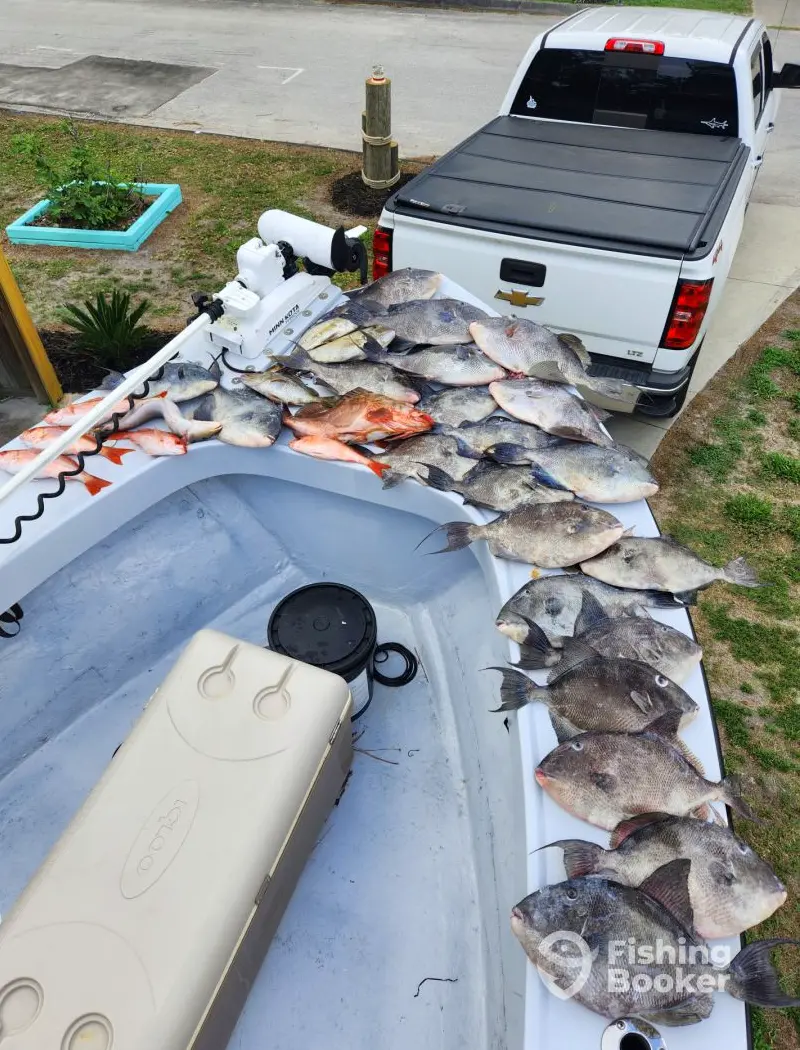 Tail Chaser Charters charter image 3