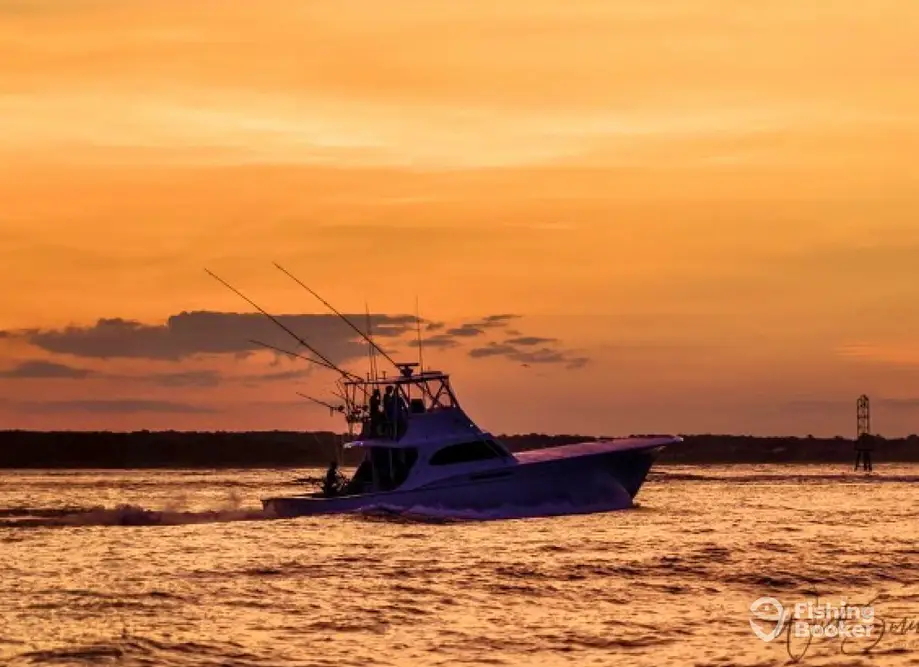 Teaser Sportfishing Charters