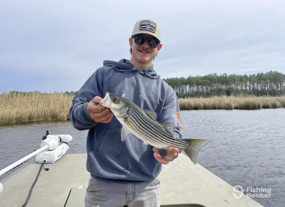 Multi Species Trip – New Bern charter image 5