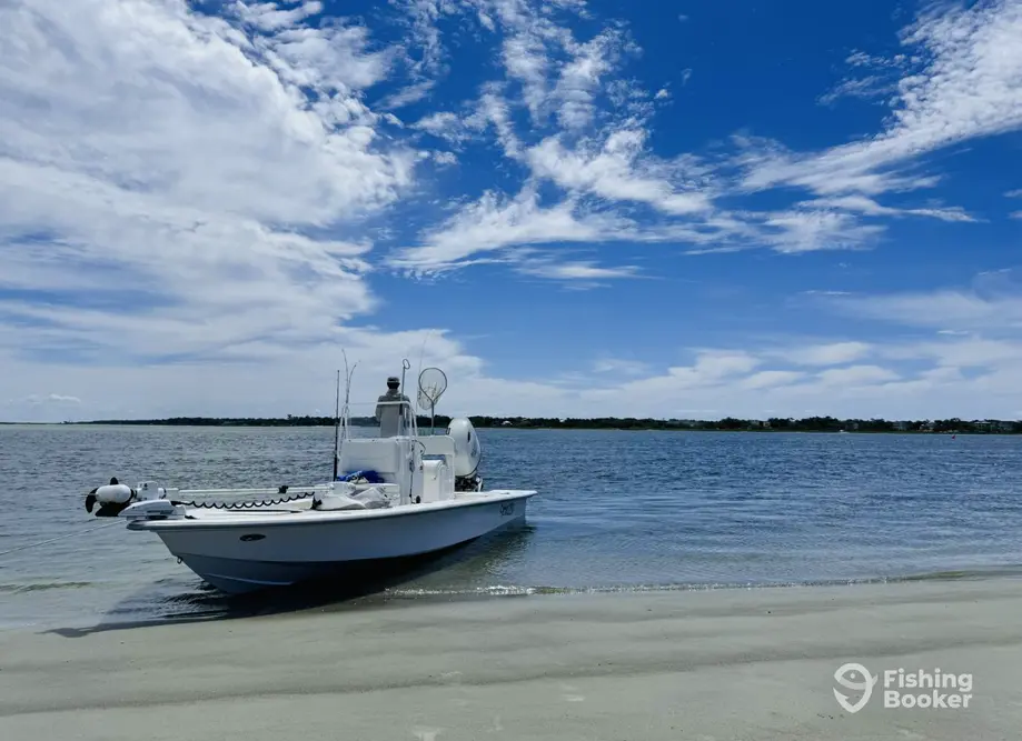 Reel 'n' Time Charters
