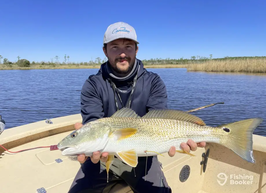 Cast'n Carolina – Inshore Fly & Sight Fishing charter image 3
