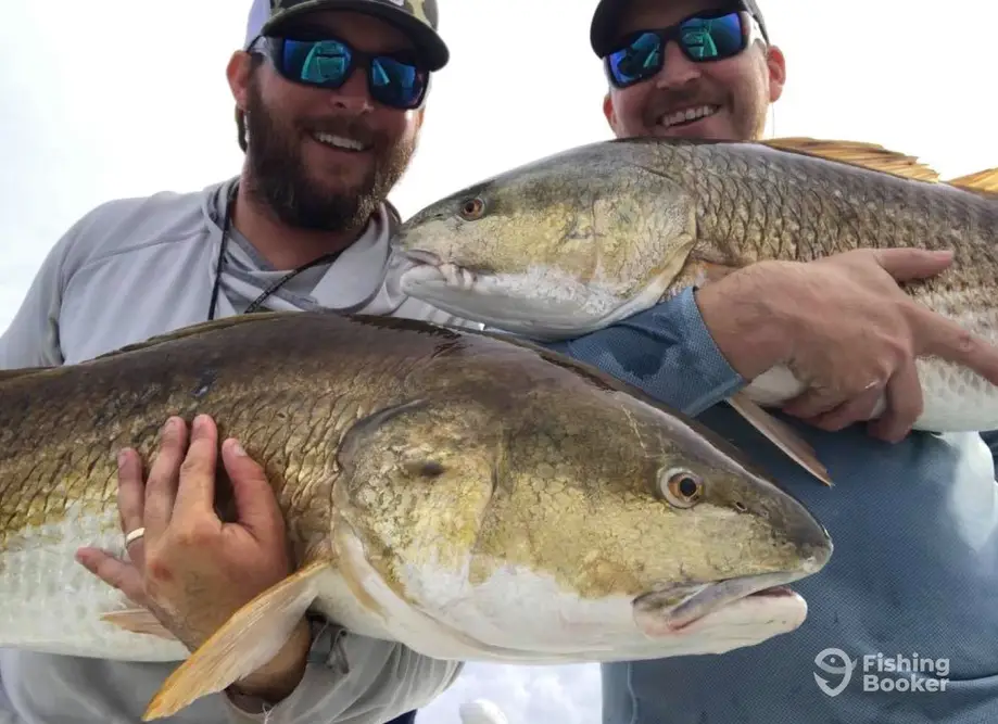 Bounty Hunter Guide Service – 22' Bay Boat